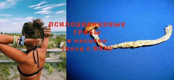 стафф Дмитровск