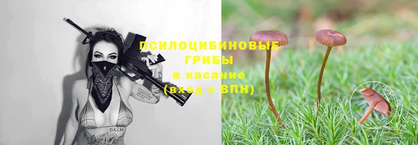 стафф Дмитровск