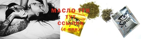 молекула духа Дмитров