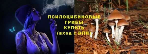 PSILOCYBIN Дмитриев