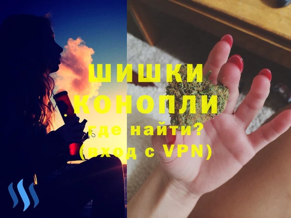 молекула духа Дмитров