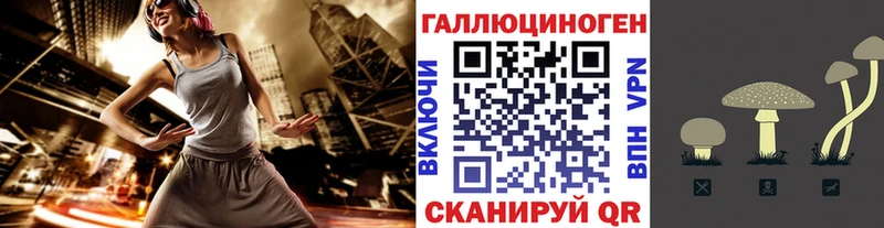 Купить закладки  Ступино  Галлюциногенные грибы GOLDEN TEACHER 